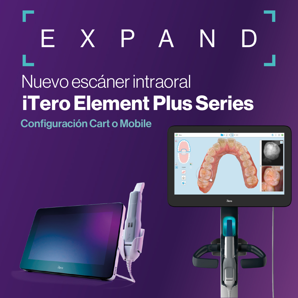 00 Cuadrada AMD