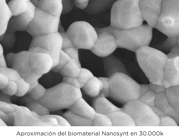 nanosynt